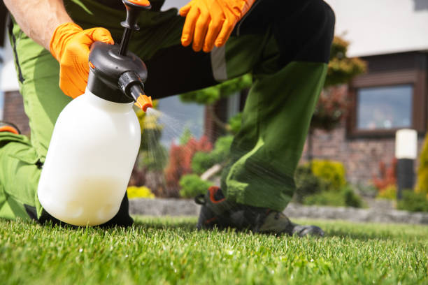 Best Affordable Pest Control Services  in Wortham, TX