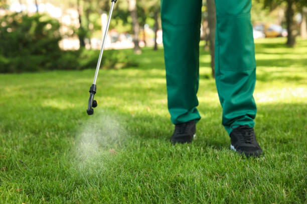 Best Ant Control Services  in Wortham, TX