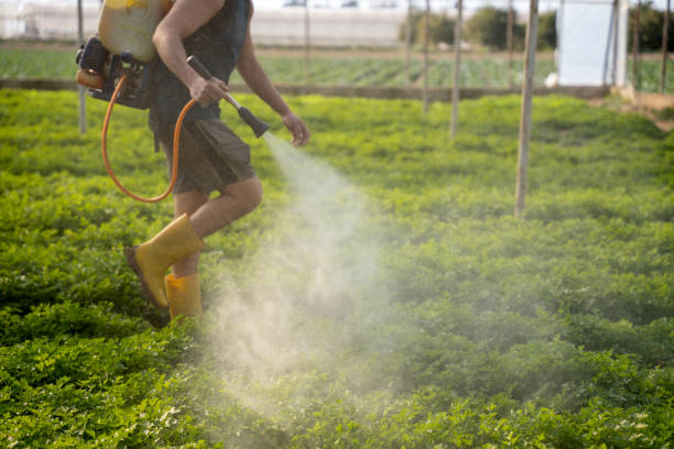 Best Best Pest Control Companies  in Wortham, TX