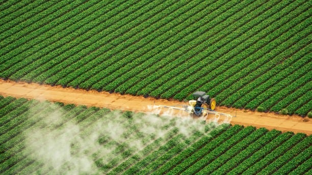  Wortham, TX Pest Control Pros