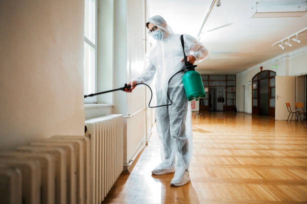 Best Rat Extermination Near Me  in Wortham, TX