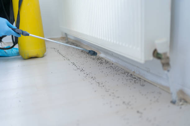 Best Pest Removal Services  in Wortham, TX