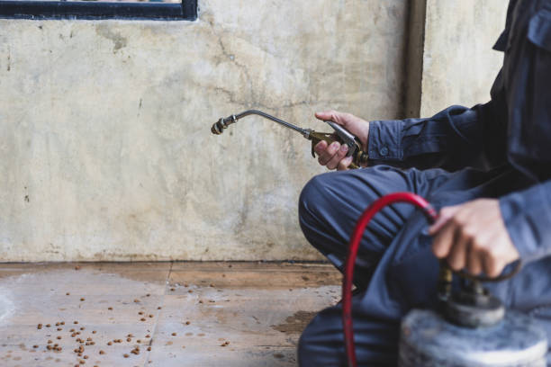 Best Best Pest Control Companies  in Wortham, TX